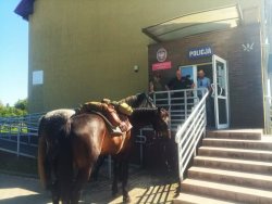 Na zdjęciu widać dwa konie, które stoją przed budynkiem, na którym znajduje się napis POLICJA oraz polskie godło państwowe.