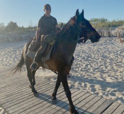 Na zdjęciu widać mężczyznę na koniu, który idzie po drewnianych deskach rozłożonych na plaży.