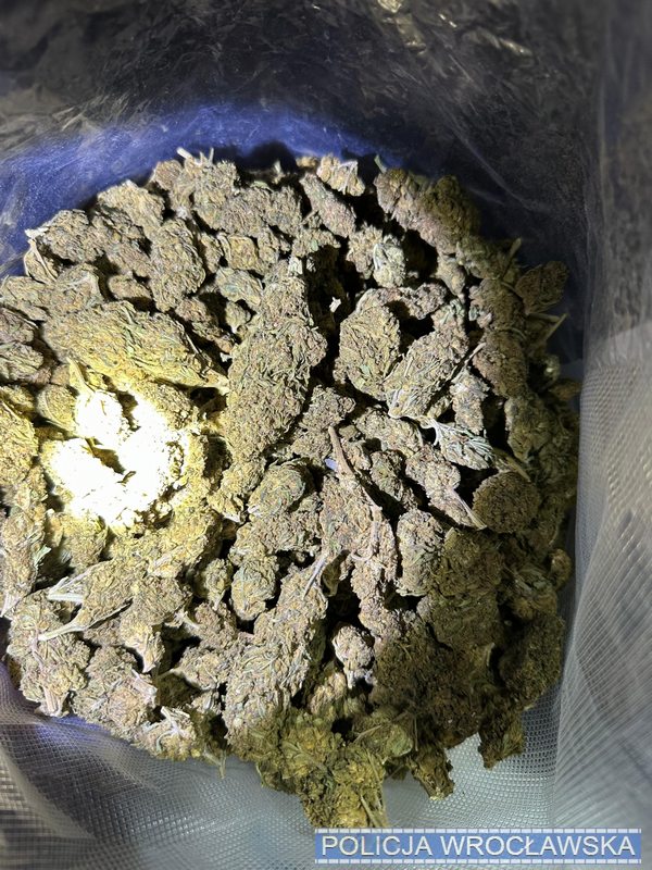 Wrocławscy policjanci zatrzymali 38-letniego mężczyznę, u którego zabezpieczonych zostało blisko 10 kg narkotyków