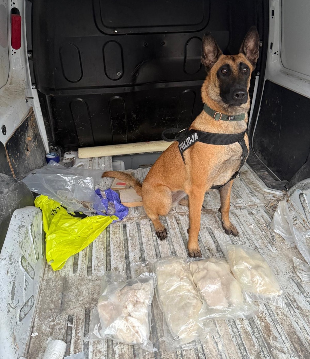 46-latek ukrywał w autach ponad 3 kilogramy narkotyków – został tymczasowo aresztowany