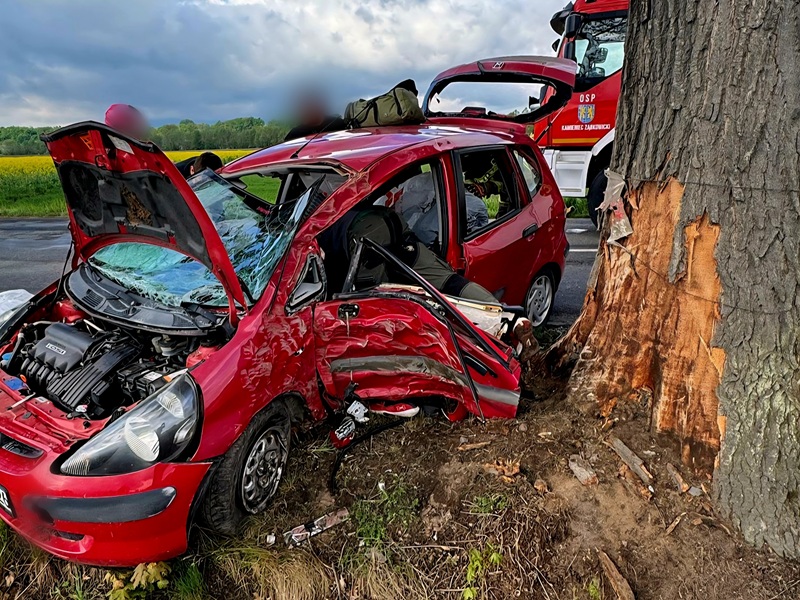 Kierowca otrzymał mandat za prędkość, a kilka minut później uderzył w drzewo